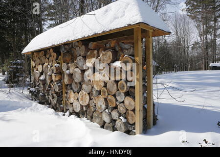 Stapel Brennholz in hellen Wintertag mit viel Schnee herum. Stockfoto