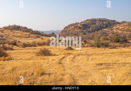 Grünland-Landschaft in Ranthambhore National Park Stockfoto