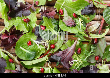 Frühjahr Salat Stockfoto