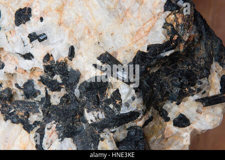 Rohe Edelsteine angezeigt in einem Edelstein-Museum, Ratnapura, Sri Lanka Stockfoto