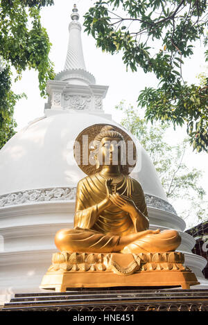 Buddha Statue und Stupa, Gangaramaya Tempel, Colombo, Sri Lanka Stockfoto