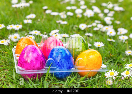 Bunt bemalte Ostereier in Grasgrün mit blühenden Gänseblümchen Stockfoto