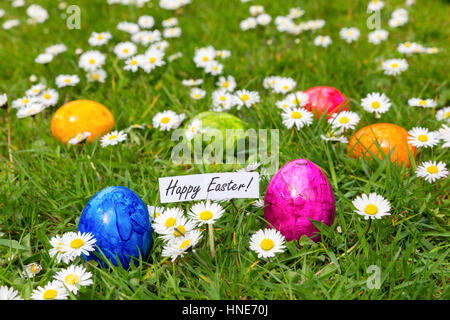 Bunten Ostereiern Gras mit Gänseblümchen Blüte im Frühling Stockfoto