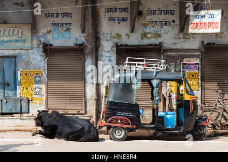 02.04.2017. Varanasi, Indien. Eine Kuh schläft neben einem leeren Rikscha in Varanasi, eine der heiligsten Städte Indiens. Bildnachweis: Rob Pinney Stockfoto