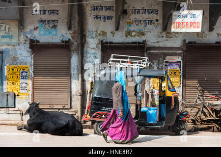 02.04.2017. Varanasi, Indien. Eine Kuh schläft neben einem leeren Rikscha in Varanasi, eine der heiligsten Städte Indiens. Bildnachweis: Rob Pinney Stockfoto