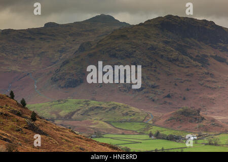 Hecht, O'Blisco und Wrynose Pass, gesehen vom kleinen Langdale, Lake District, Cumbria Stockfoto