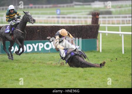 Geritten von Ruby Walsh Bellshill fallen bei der letzten während Flogas Anfänger Steeplechase tagsüber Stan James Irish Gold Cup in Leopardstown Racecourse, Dublin. Stockfoto