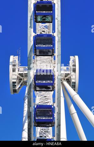 Centennial Rad, das Riesenrad am Navy Pier Chicago, die an die Öffentlichkeit Ende Mai 2016 eröffnet. Chicago, Illinois, USA, Stockfoto