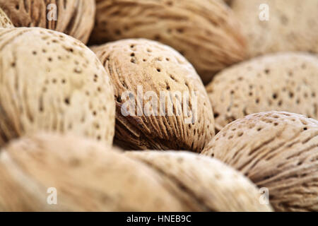 Mandeln in der Schale auf weißem Hintergrund Stockfoto