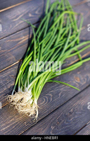 Nahaufnahme von Schnittlauch auf Holztisch Stockfoto