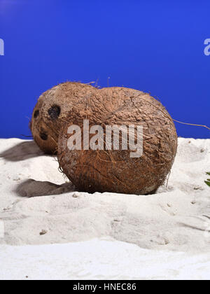 Nahaufnahme der Kokosnuss auf sand Stockfoto