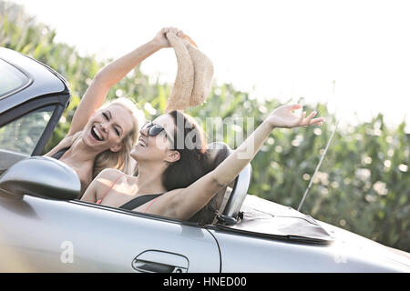 Aufgeregt, Freundinnen, die Fahrt im Cabrio bei Sonnenschein genießen Stockfoto