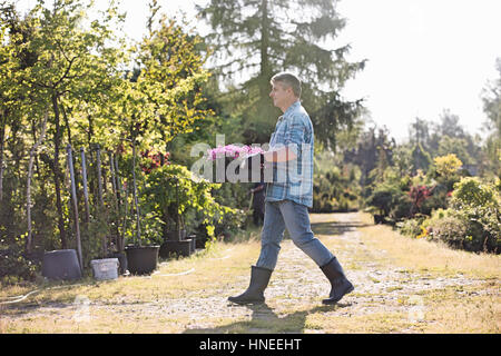 Voller Länge Seitenansicht des Gärtners zu Fuß während des Tragens Kiste Blumentöpfe im Garten Stockfoto