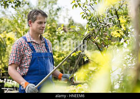 Gärtner trimmen Äste bei Gärtnerei Stockfoto