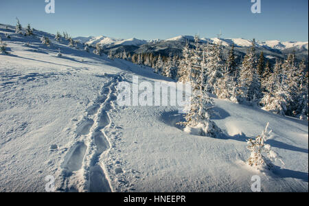 Traumhafte Winterlandschaft und ausgetretenen Pfade, die in führen die Stockfoto