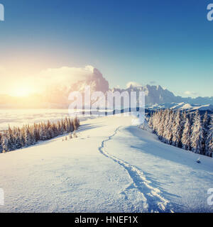 Traumhafte Winterlandschaft und ausgetretenen Pfade, die in führen die Stockfoto