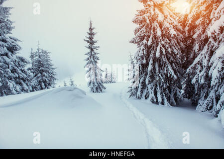 Traumhafte Winterlandschaft und ausgetretenen Pfade, die in führen die Stockfoto