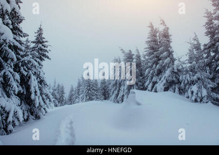 Traumhafte Winterlandschaft und ausgetretenen Pfade, die in führen die Stockfoto