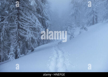 Traumhafte Winterlandschaft und ausgetretenen Pfade, die in führen die Stockfoto