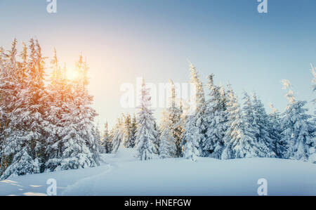 Traumhafte Winterlandschaft und ausgetretenen Pfade, die in führen die Stockfoto