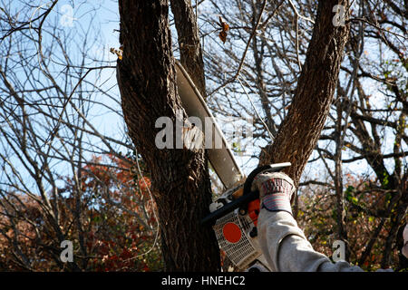  Speichern Download Vorschau trimmen Baum mit elektrischen Säge - ökologische Arbeit Hand des Arbeiters Stockfoto