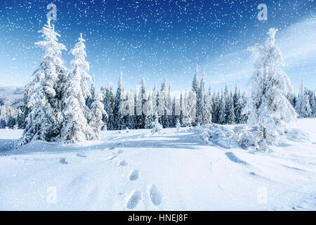 Traumhafte Winterlandschaft und ausgetretenen Pfade, die in führen die Stockfoto