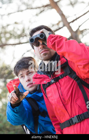 Männliche Wanderer mit dem Fernglas während Freund zeigt ihm etwas im Wald Stockfoto