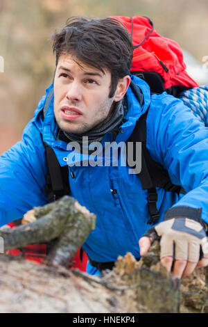 Junge männliche Backpacker Wandern im Wald Stockfoto