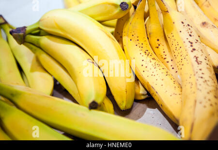 Nahaufnahme von Bananen im Markt Stockfoto