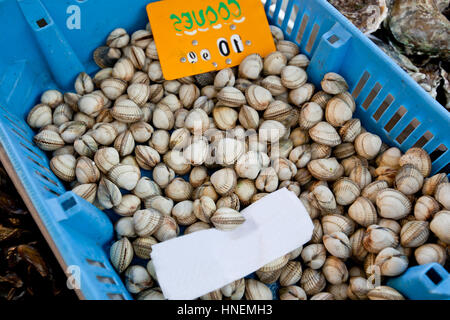 Nahaufnahme von Schalentieren in Container im store Stockfoto