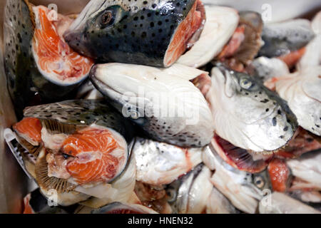 Nahaufnahme der gehackte Fische im Markt Stockfoto