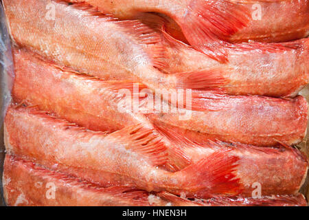 Full-Frame-Schuss von frisch gefangenen rote Fische Stockfoto