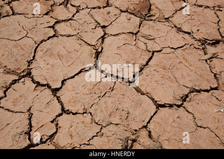 Nahaufnahme des trockenen rissigen Boden Stockfoto