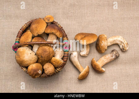 Gruppe von Steinpilzen Pilze auf Leinen. Die natürliche Farbe und Textur. Pilz im Korb Stockfoto