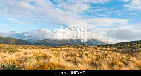 Stratovulkan Mount Taranaki oder Mount Egmont mit Cloud, Egmont National Park, Taranaki, Neuseeland Stockfoto