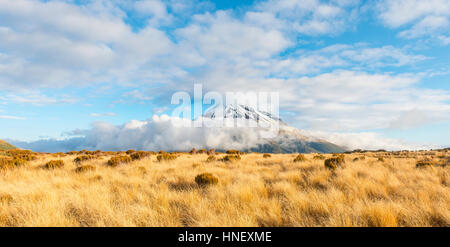 Stratovulkan Mount Taranaki oder Mount Egmont mit Cloud, Egmont National Park, Taranaki, Neuseeland Stockfoto