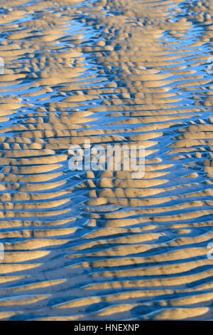 Wellenartige Strukturen, Wellen im Sand bei Ebbe, St. Peter-Ording, Schleswig-Holstein-Nationalpark Wattenmeer Stockfoto