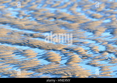 Wellenartige Strukturen ripple () in den Sand im Abendlicht, Sankt Peter-Ording, Schleswig-Holstein-Nationalpark Wattenmeer Stockfoto