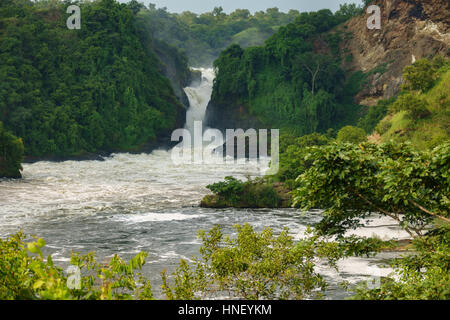 Murchison Falls in Uganda Stockfoto