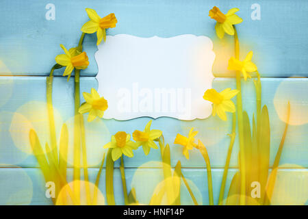 Narzisse Blüte mit Grußkarte, Oster-Deko Stockfoto