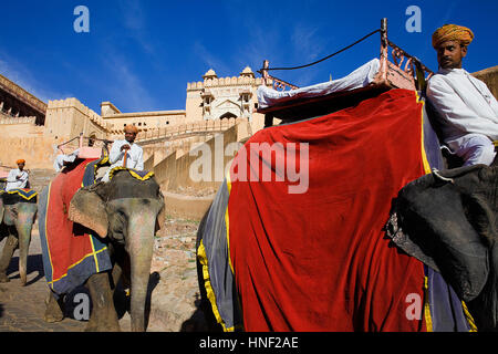 Elefanten in Amber Fort Amber, Rajasthan, Indien Stockfoto