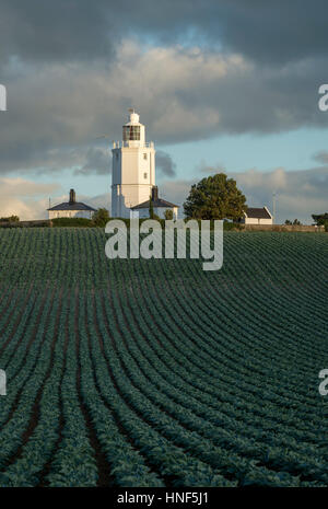 North Foreland Leuchtturm in Broadstairs, Kent hinter den Kohl Feld Reihen. Stockfoto