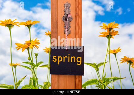 kleine Tafel mit dem Wort Frühling von Schlüssel vor gelben Blüten hängen Stockfoto