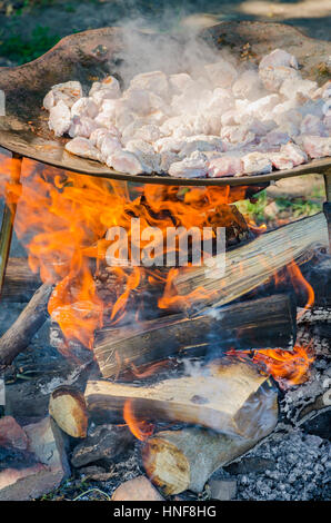 Outdoor Braten Schweinefleisch auf dem Holzfeuer mit Flammen Stockfoto