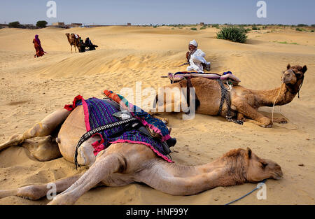Szene in Sam Dünen, Desert National Park in den großen Thar Wüste, in der Nähe von Jaisalmer, Rajasthan, Indien