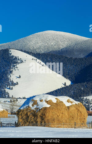 Heuhaufen im Winter unter Nevada Berg entlang der kontinentalen Wasserscheide in der Nähe von Helmville, montana Stockfoto