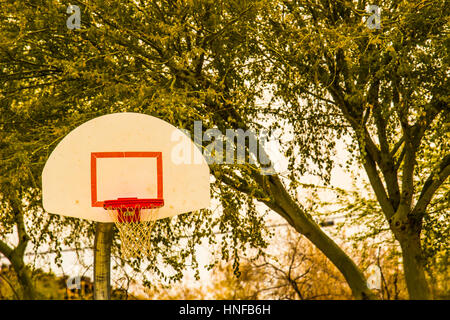 Basketballkorb, Net & Rückwand gegen Baum Hintergrund Stockfoto
