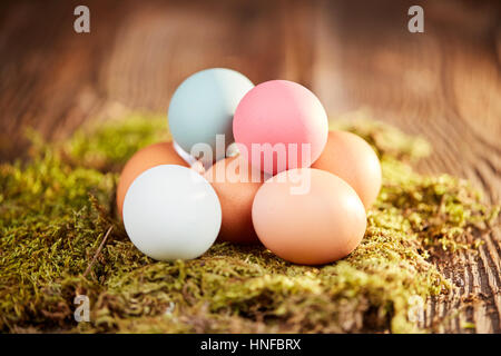 Pastell Ostereier auf grünem Moos auf Holztisch vor braunen Wand Stockfoto