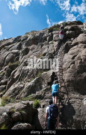 Klettern Der sentinal Wanderung auf das Amphitheater Royal Natal National Park Kwazulu Natal Südafrika Stockfoto