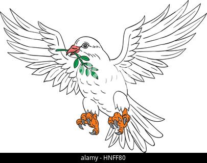 Zeichnung Skizze Stil Illustration eine Taube fliegen mit Olivenblatt im Schnabel Blick auf die Seite setzen auf isolierten weißen Hintergrund. Stock Vektor